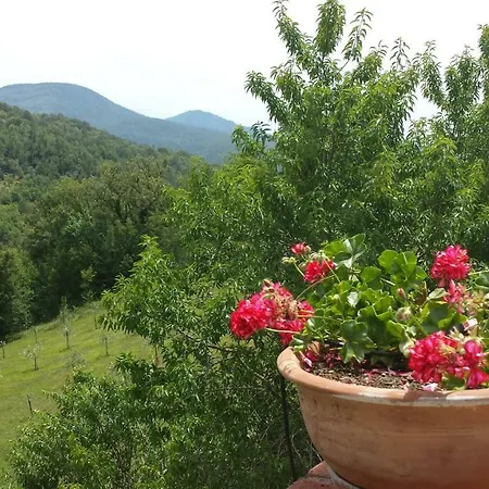 Podere Piandicava Lägenhet *